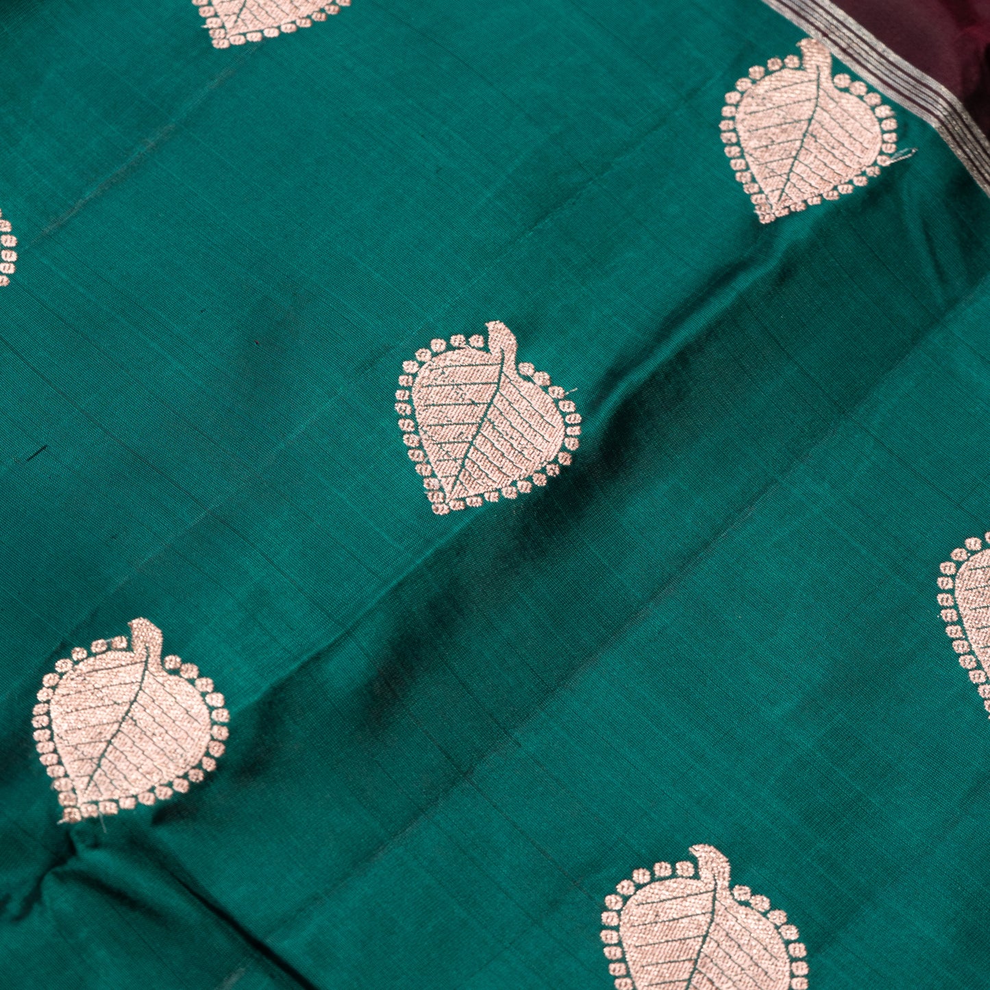 Pure Kanchipuram Coffee Green with Fern butta