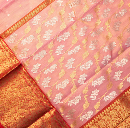 Chanderi Katan Silk Baby Pink Saree with Large Maharani Border